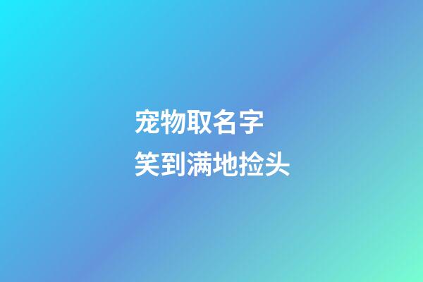 宠物取名字 笑到满地捡头